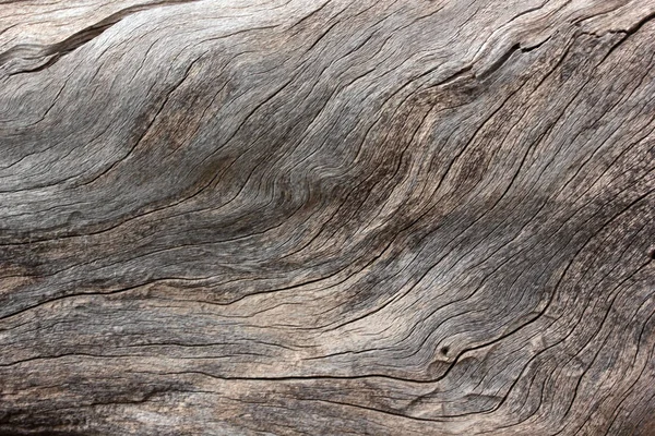 Tree Trunk Texture Abstract Background — Stock Photo, Image