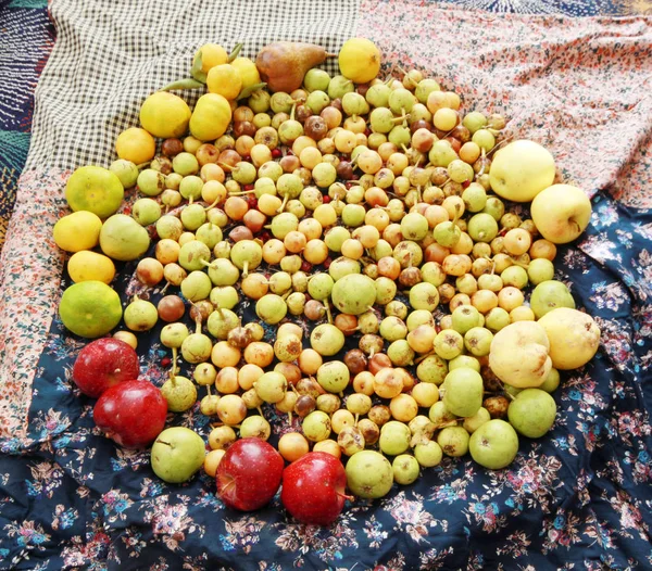 Mieszane Dzikie Owoce Gruszka Śliwka Tangerine Jabłko Owoc Quince — Zdjęcie stockowe