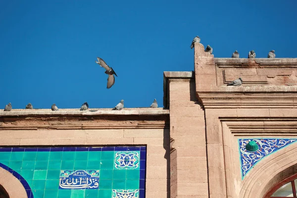 Historic Stone Building Pigeons — Stock Photo, Image