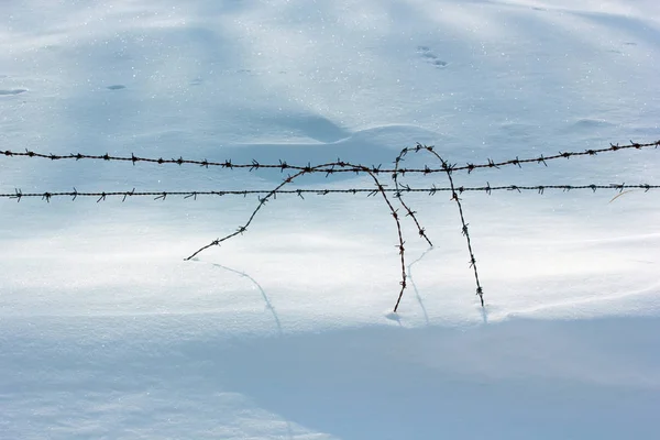 snow and barbed wire mesh