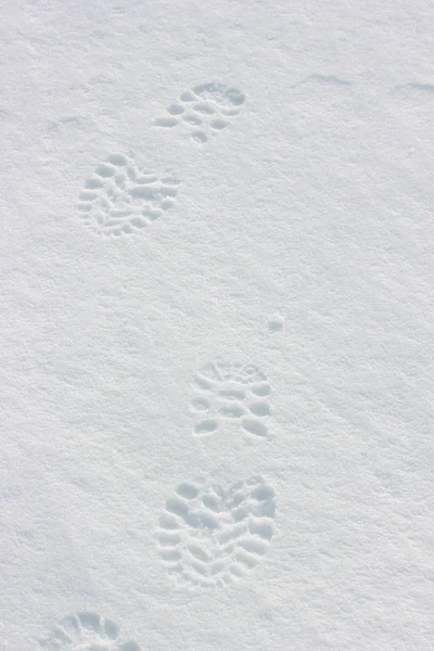 Βήματα Ποδιών Στο Χιόνι — Φωτογραφία Αρχείου