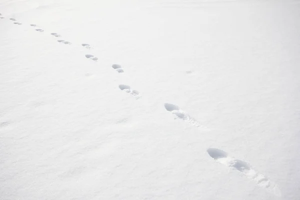 Βήματα Ποδιών Στο Χιόνι — Φωτογραφία Αρχείου