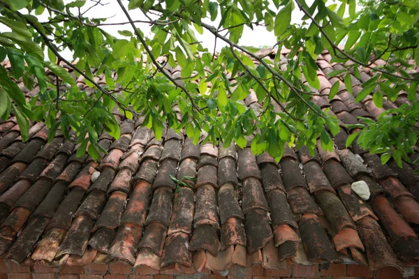 old brick tiles on the roof