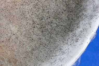 Tabak dokusu arka planında kalıp 