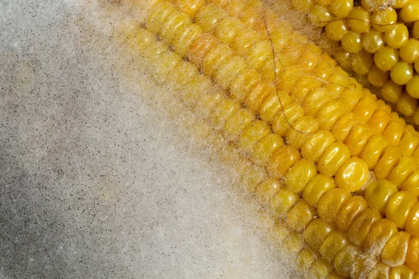 Цвітна Кукурудза Тарілці — стокове фото