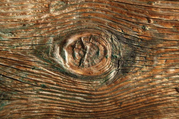 나무로 통나무의 목재의 — 스톡 사진