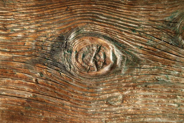 Texture Wooden Log Texture Lumber — Stock Photo, Image