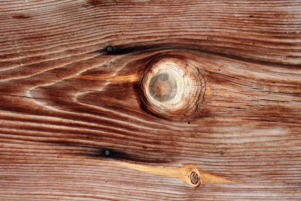 木の丸太の質感 木材の質感 — ストック写真