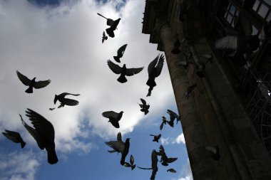 Aziziye Camisi ve Uçan Güvercinler
