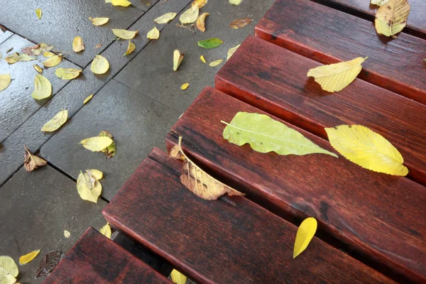 秋天的叶子放在木制长椅上 — 图库照片
