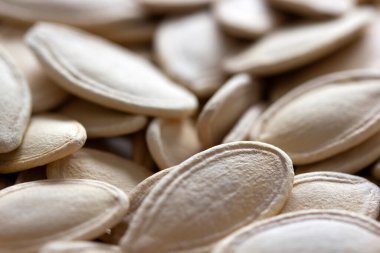 Taze kabak çekirdeği arka planı. Yakın plan..