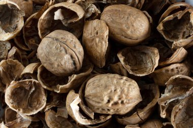 ceviz kabuğu ve ceviz dokusu arkaplanı