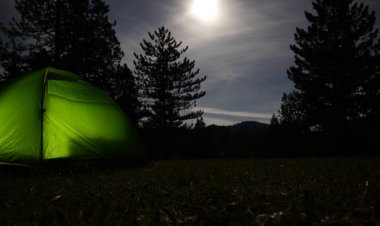 Ormanda kamp çadırı.