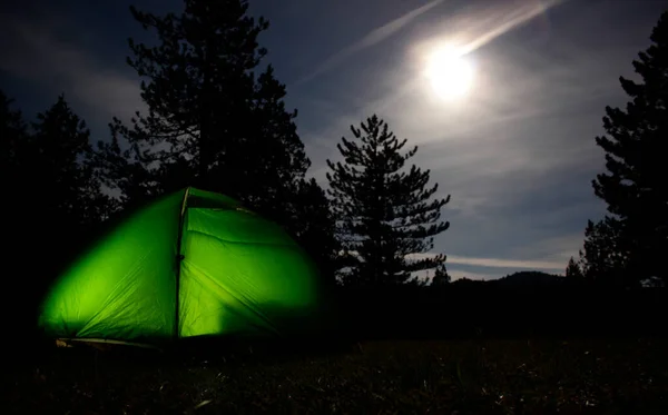 Camping Tent Forest — Stock Photo, Image