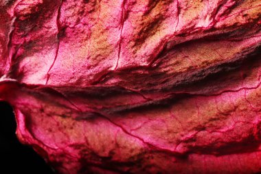 Kuru Yaprak Dokusu Soyut Arkaplan