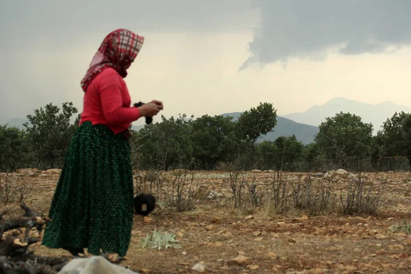 Türk Kadın Çiğ Koyun Yünü Örüyor — Stok fotoğraf