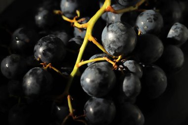 Büyük ve taze siyah üzümler