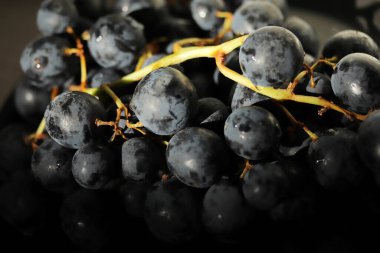 Büyük ve taze siyah üzümler