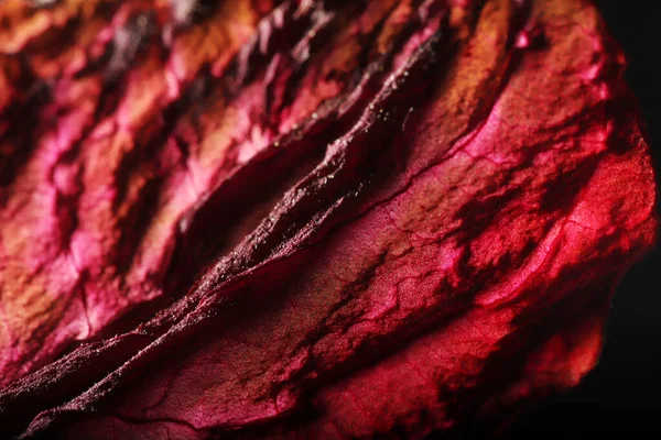 Текстури Сухого Листя Абстрактний Фон — стокове фото