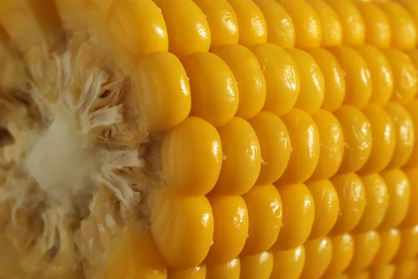 Cooked Corn Healthy Vegan Snack — Stock Photo, Image