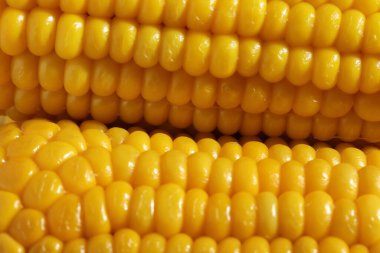 Pişmiş mısır, sağlıklı vejetaryen atıştırması.