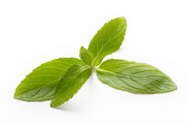 Beyaz arkaplanda taze nane şekeri.