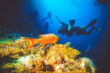 Lhaviyani Atoll, Maldives - 18 Temmuz 2018: dalgıçlar renkli parlak yumuşak mercanlar Hint Okyanusu'nda yakınındaki sualtı görüntü