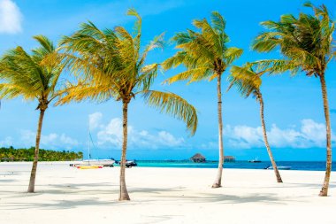 Lhaviyani Atoll, Maldives - 12 Temmuz 2018: Hint Okyanusu, Kanuhura Adası kum plajındaki su sporu alanının güzel manzara