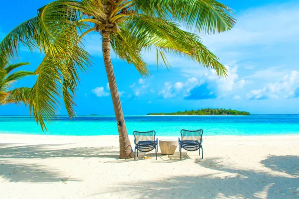 Прекрасный Песчаный Пляж Шезлонгами Индийском Океане Мальдивский Остров — стоковое фото