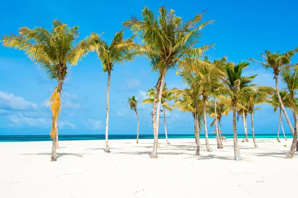 Beautiful Sandy Beach Indian Ocean Maldives Island — Stock Photo, Image