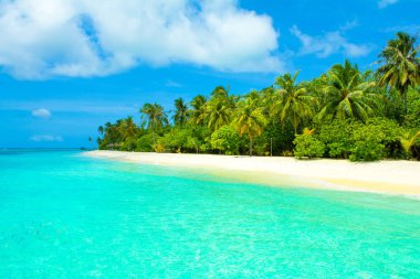 Şezlong ve şemsiyeler Hint Okyanusu, Maldivler Island ile güzel kumlu plaj