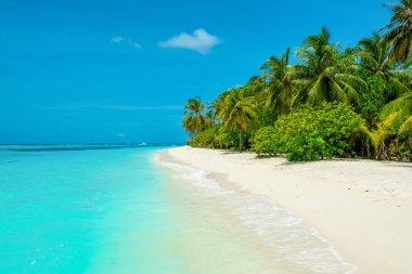 Şezlong ve şemsiyeler Hint Okyanusu, Maldivler Island ile güzel kumlu plaj