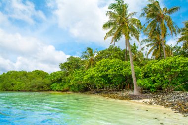 Hint Okyanusu, Maldivler ıssız ada güzel kumlu plaj