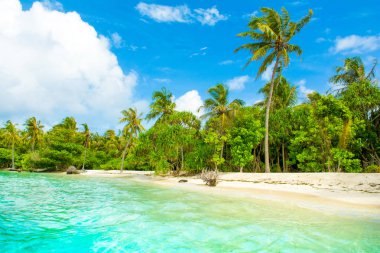 Hint Okyanusu, Maldivler ıssız ada güzel kumlu plaj