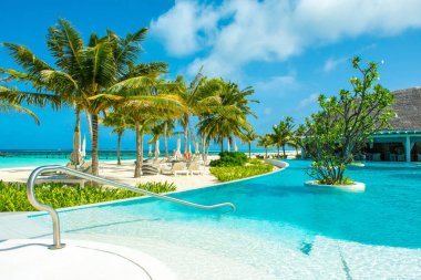 Lhaviyani Atoll, Maldives - 13 Temmuz 2018: havuzda şezlong ve şemsiyeler palmiye ağaçları gölgesinde ile Hint Okyanusu kıyısında alanı