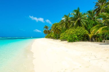 Şezlong ve şemsiyeler Hint Okyanusu, Maldivler Island ile güzel kumlu plaj