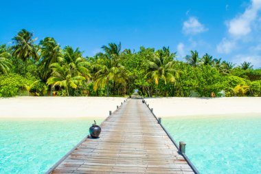 Avuç içi ve tropik bitkiler, Maldivler Island, Hint Okyanusu ile kumlu Plajı'na su ahşap köprü üzerinde güzel manzara