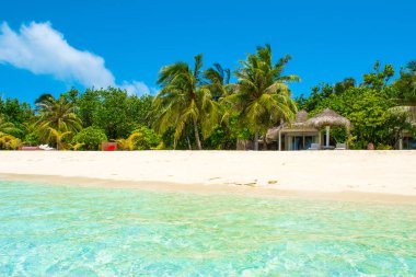 Şezlong ve şemsiyeler Hint Okyanusu, Maldivler Island ile güzel kumlu plaj