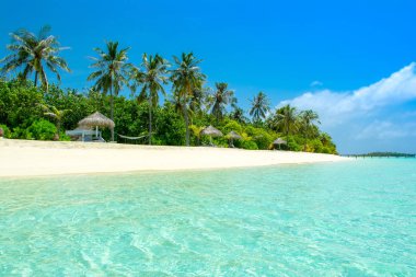 Şezlong ve şemsiyeler Hint Okyanusu, Maldivler Island ile güzel kumlu plaj