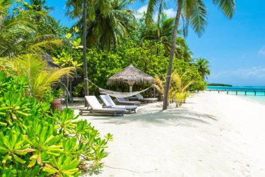 Şezlong ve şemsiyeler Hint Okyanusu, Maldivler Island ile güzel kumlu plaj