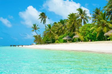 Şezlong ve şemsiyeler Hint Okyanusu, Maldivler Island ile güzel kumlu plaj