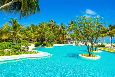 Lhaviyani Atoll, Maldives - 13 Temmuz 2018: havuzda şezlong ve şemsiyeler palmiye ağaçları gölgesinde ile Hint Okyanusu kıyısında alanı