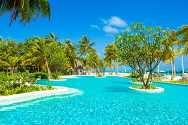 Lhaviyani Atoll, Maldives - 13 Temmuz 2018: havuzda şezlong ve şemsiyeler palmiye ağaçları gölgesinde ile Hint Okyanusu kıyısında alanı