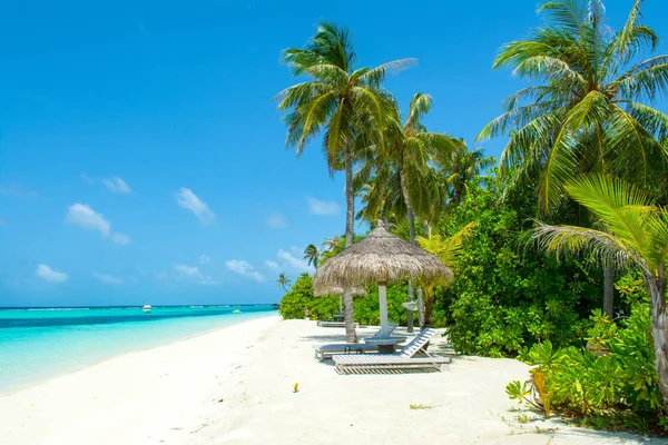 Hermosa Playa Arena Con Tumbonas Sombrillas Océano Índico Maldivas Isla — Foto de Stock