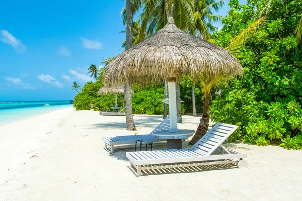 Şezlong Şemsiyeler Hint Okyanusu Maldivler Island Ile Güzel Kumlu Plaj — Stok fotoğraf