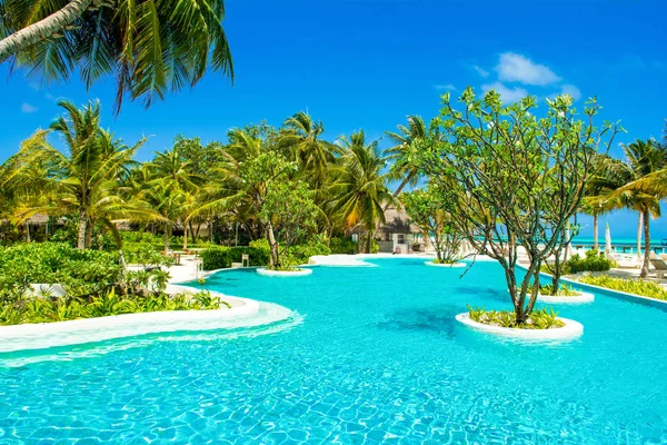 Lhaviyani Atoll, Maldives - 13 Temmuz 2018: havuzda şezlong ve şemsiyeler palmiye ağaçları gölgesinde ile Hint Okyanusu kıyısında alanı