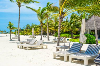Lhaviyani Atoll, Maldives - 13 Temmuz 2018: şezlong ve şemsiyeler palmiye ağaçları gölgesinde ile Hint Okyanusu kıyısında alanında rahatlayın