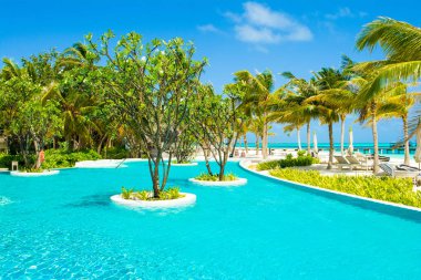 Lhaviyani Atoll, Maldives - 13 Temmuz 2018: havuzda şezlong ve şemsiyeler palmiye ağaçları gölgesinde ile Hint Okyanusu kıyısında alanı