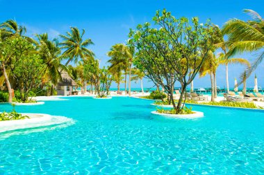 Lhaviyani Atoll, Maldives - 13 Temmuz 2018: havuzda şezlong ve şemsiyeler palmiye ağaçları gölgesinde ile Hint Okyanusu kıyısında alanı