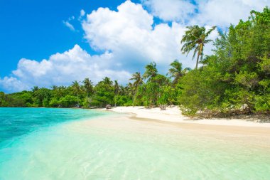 Hint Okyanusu, Maldivler ıssız ada güzel kumlu plaj